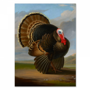wenzel-turkey-unframed.png